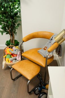 The Lorren Chair and Ottoman Set in Light Honey and Natural Steel